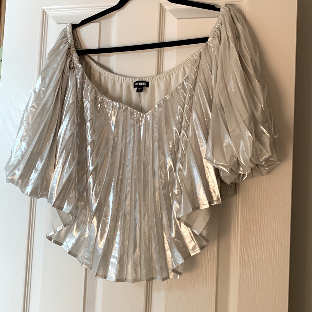 Express Size Large Metallic Blouse